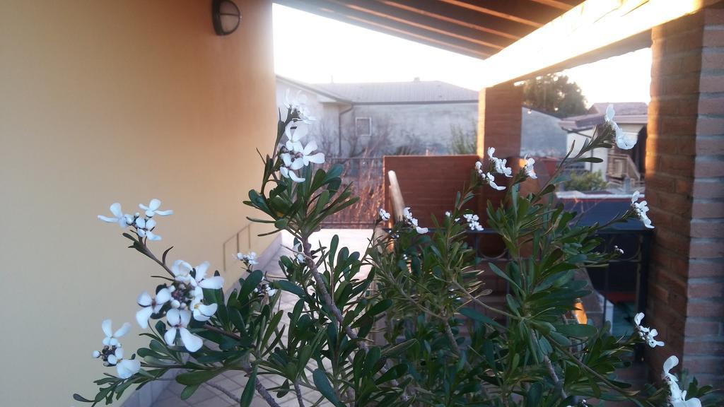 Hotel Tolin Ronco allʼAdige Exterior foto